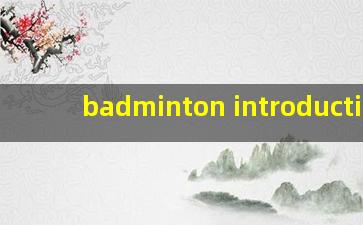 badminton introduction